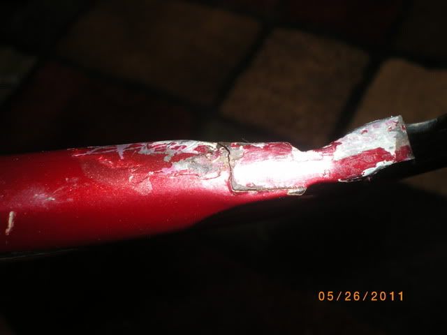 IMGP2783.jpg