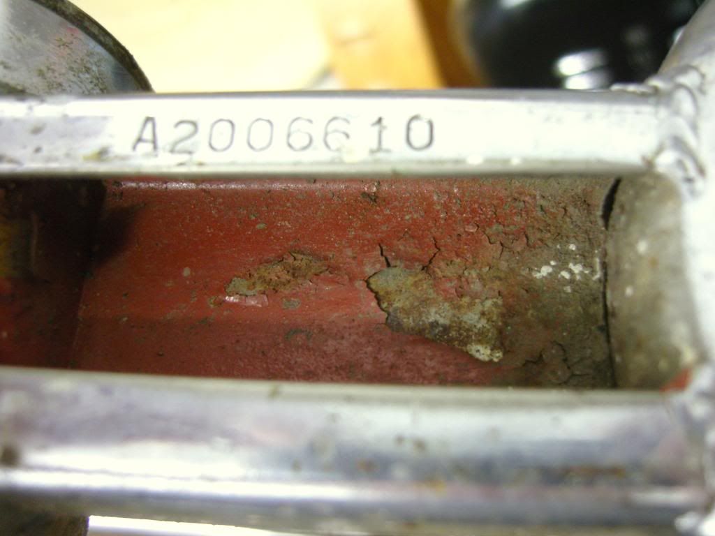 SNC17114.jpg