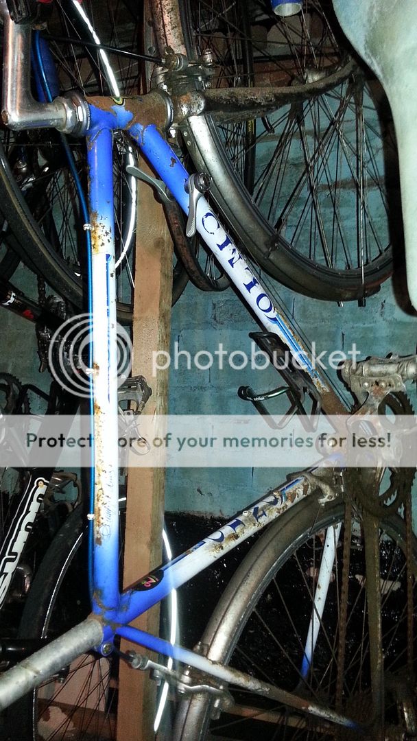 20130912_151315_zps98902dd8.jpg