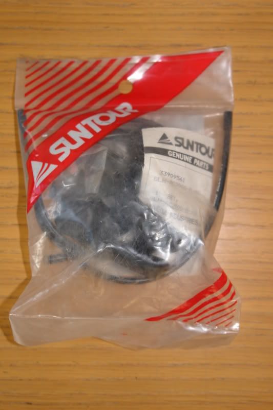 DSC08622.jpg