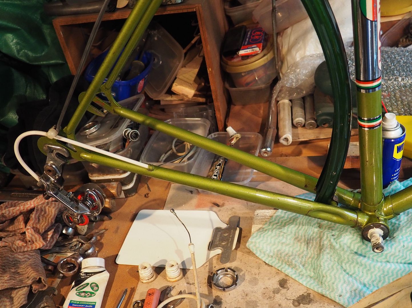 P4031333_zpshkcfqdo9.jpg