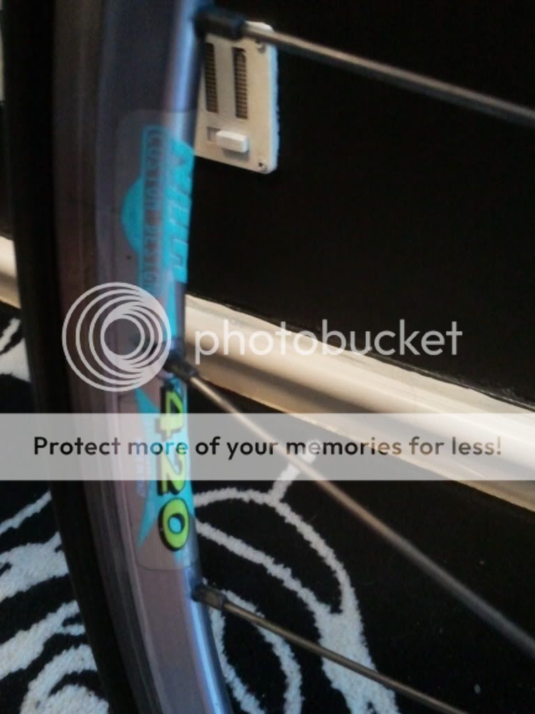 2011-12-29132409.jpg