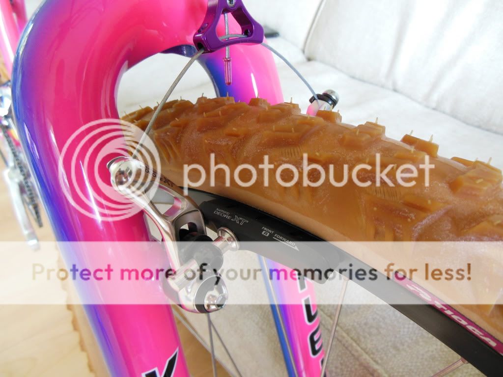 DSCN2595.jpg