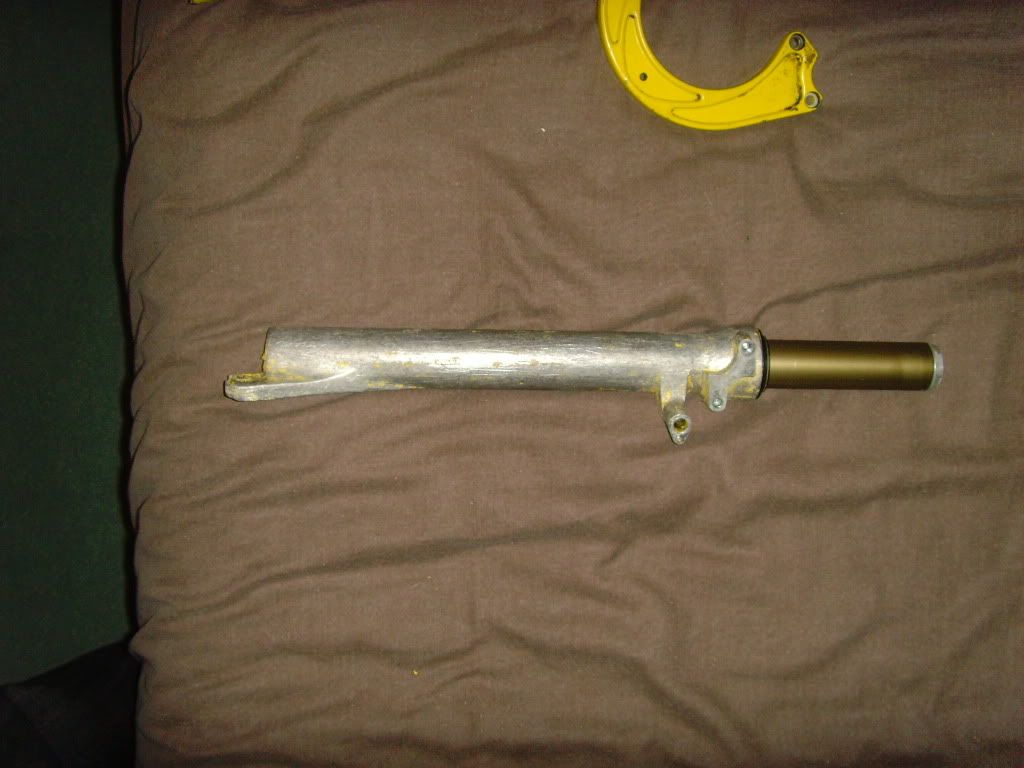 SNV33986.jpg