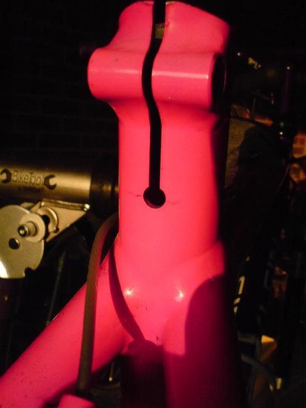 DSC00001_Medium_.jpg
