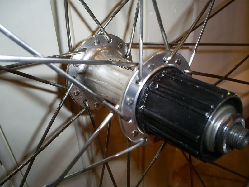 S5031254.jpg