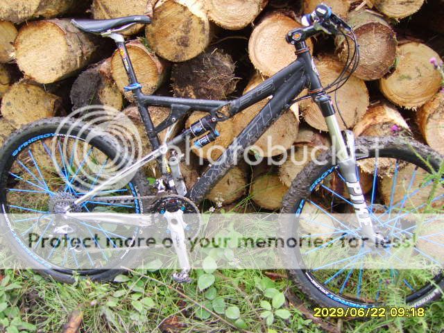 SV202255.jpg