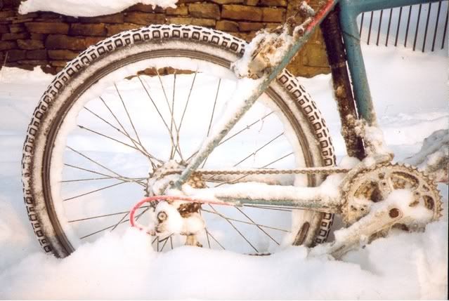 scan0015-1.jpg