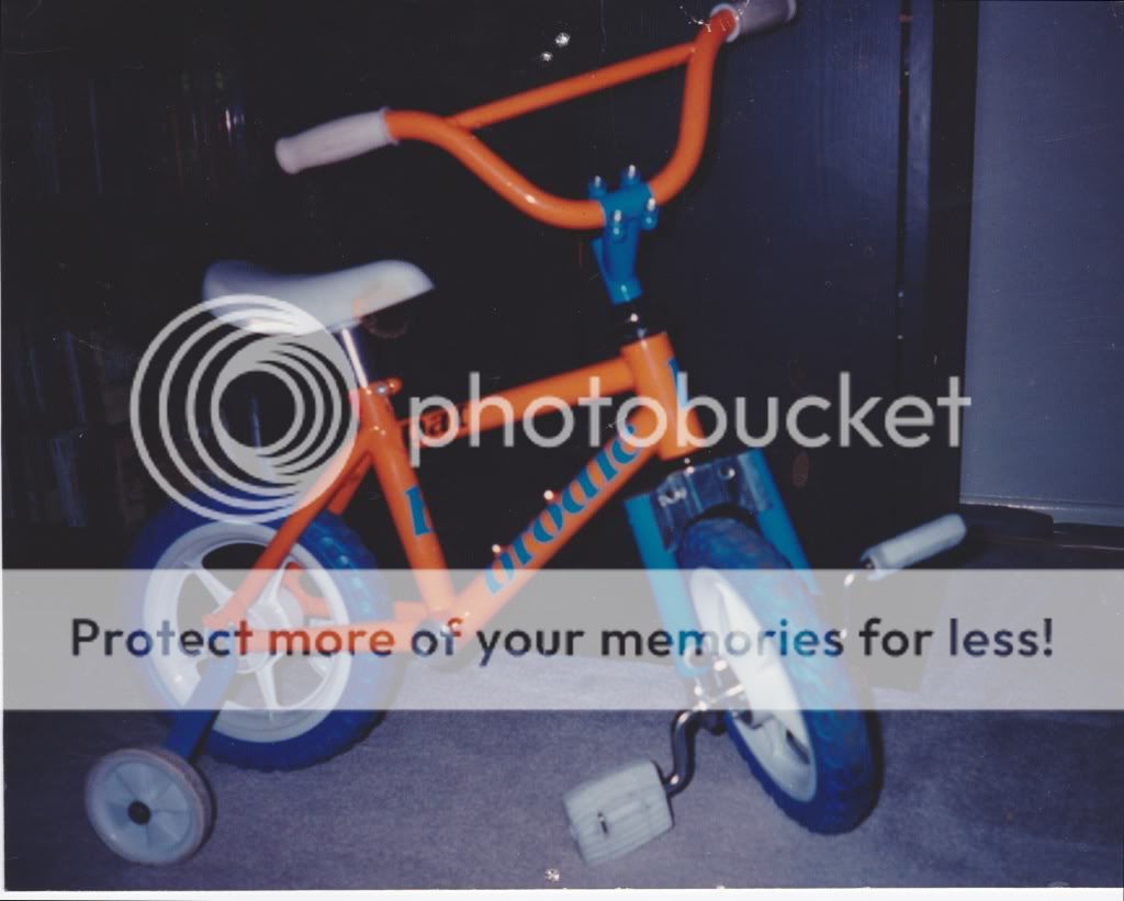 Scan3.jpg