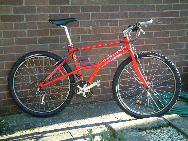 saracen_2005.jpg