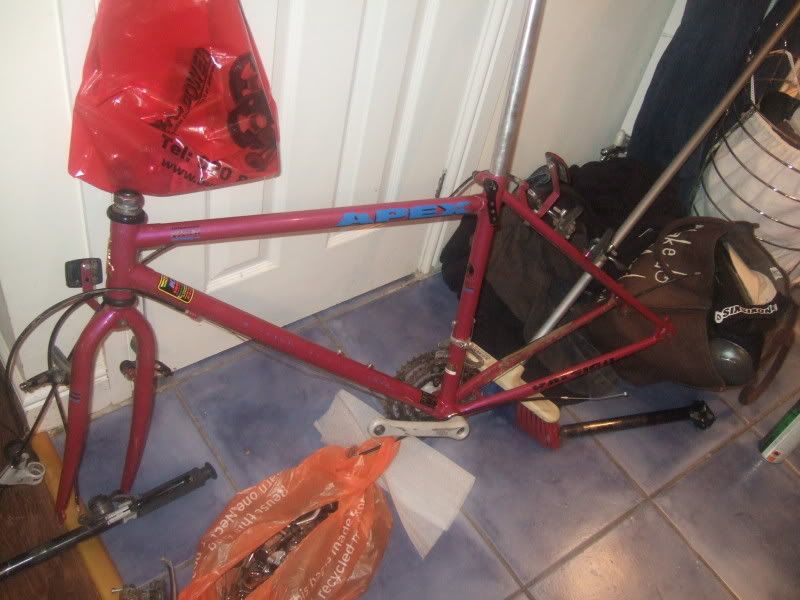 apexfeb002.jpg