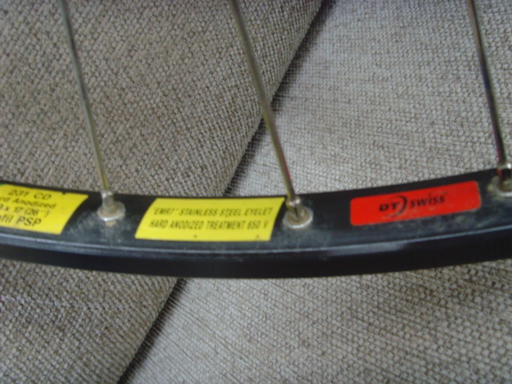 SNV34526.jpg