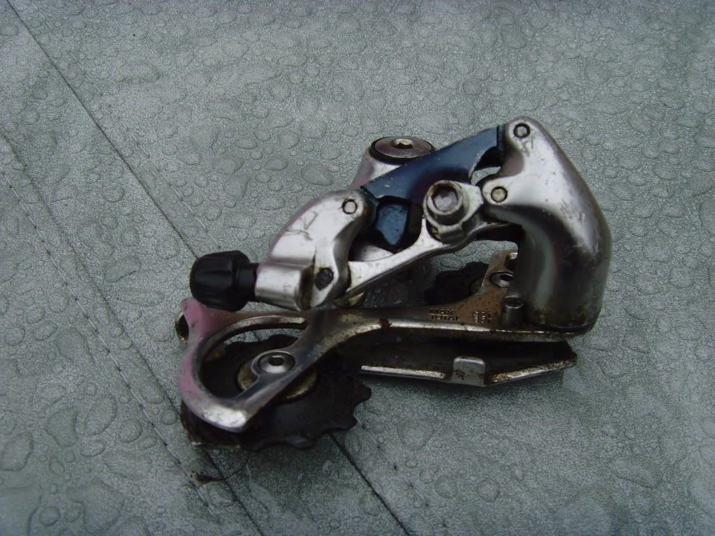 SNV35416.jpg