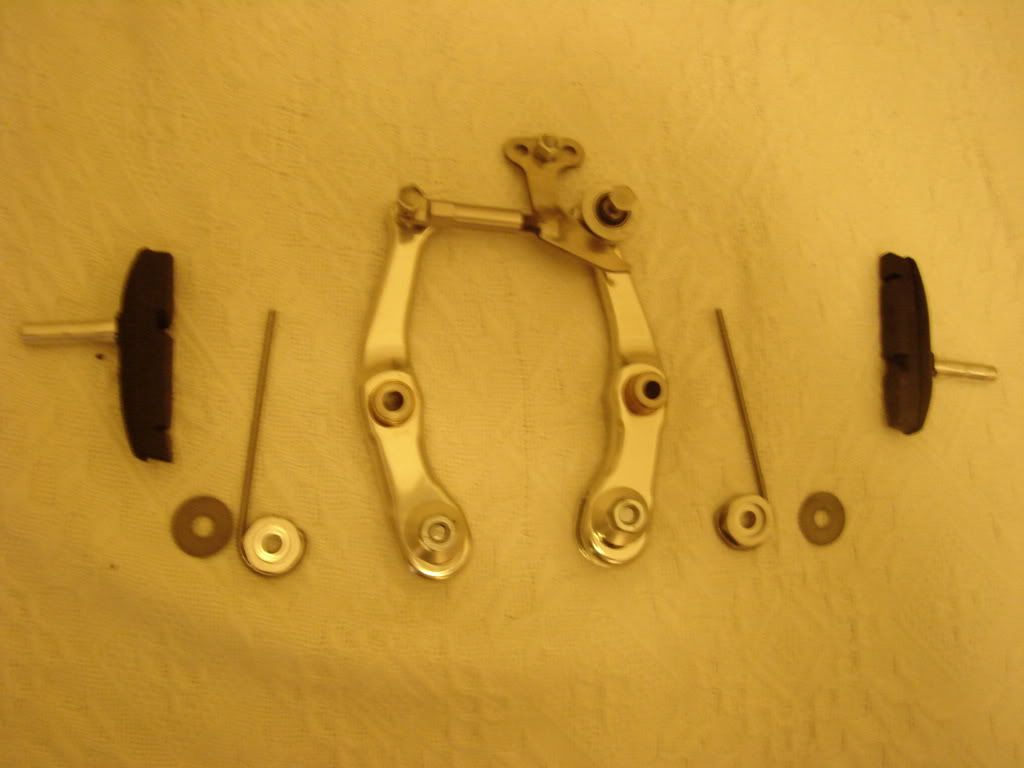 DSC01593.jpg