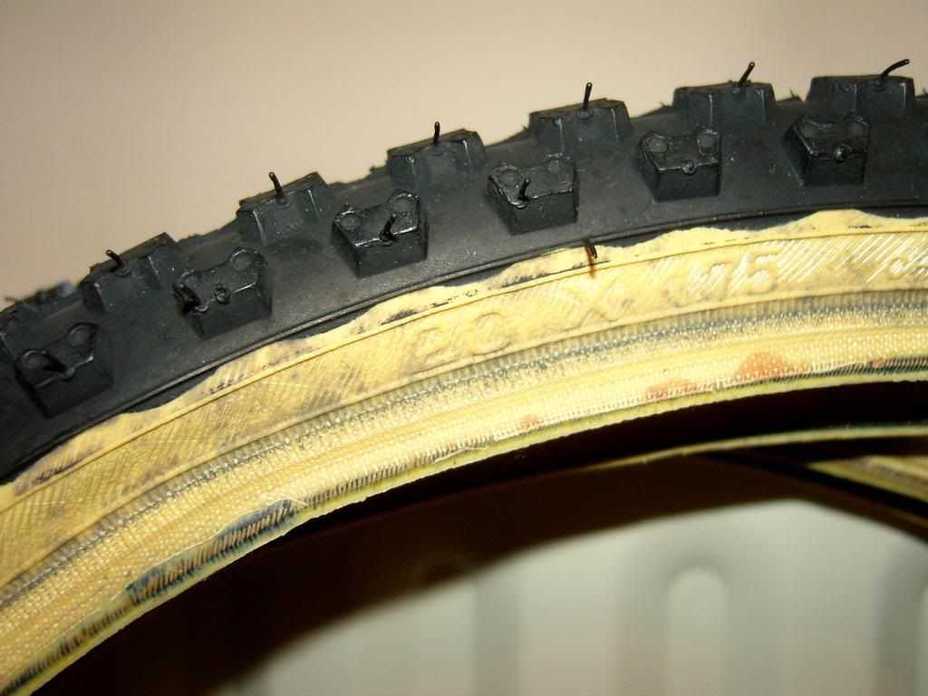 SNC10132.jpg
