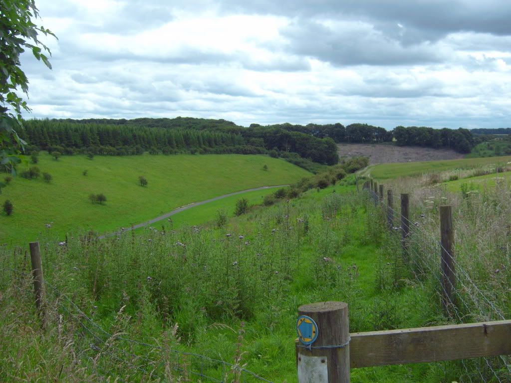 IMG00423.jpg