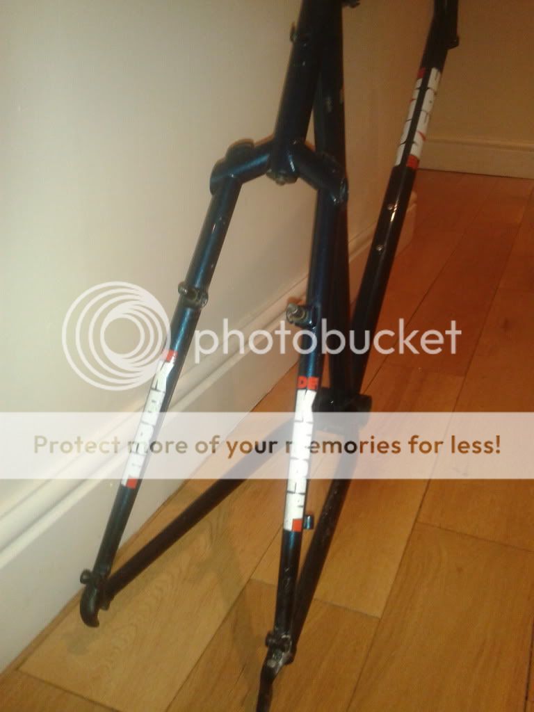2011-11-17202640.jpg