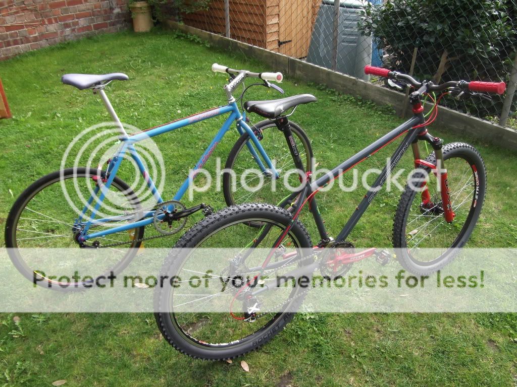 Summer2011067.jpg