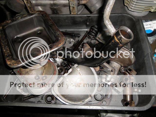 DSC04137.jpg