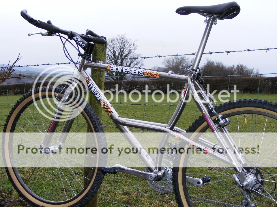 2010_0330ti0008.jpg
