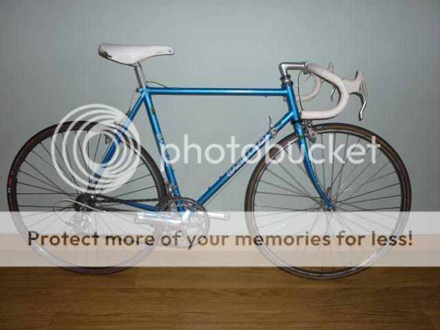 supergazelles005.jpg