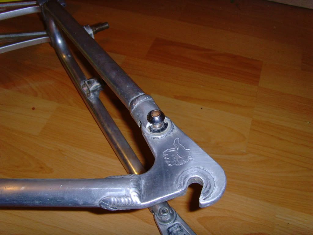 SNV34791.jpg