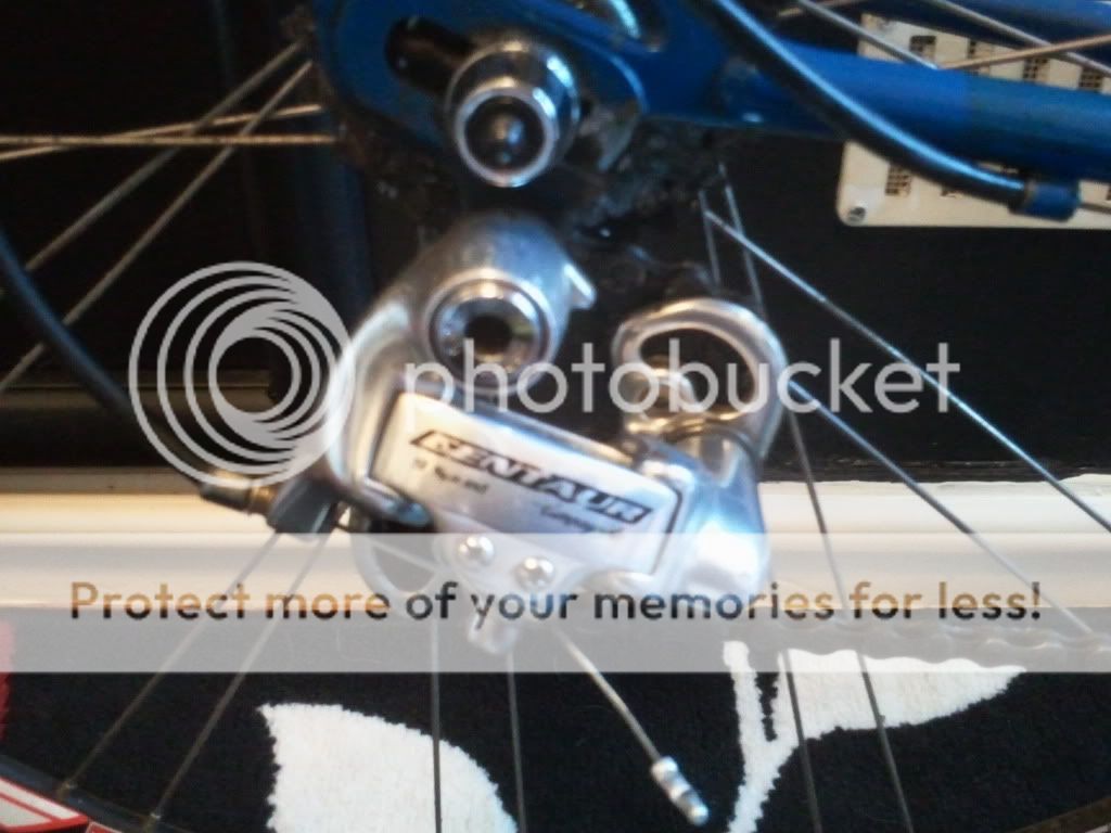 2011-12-29131849.jpg