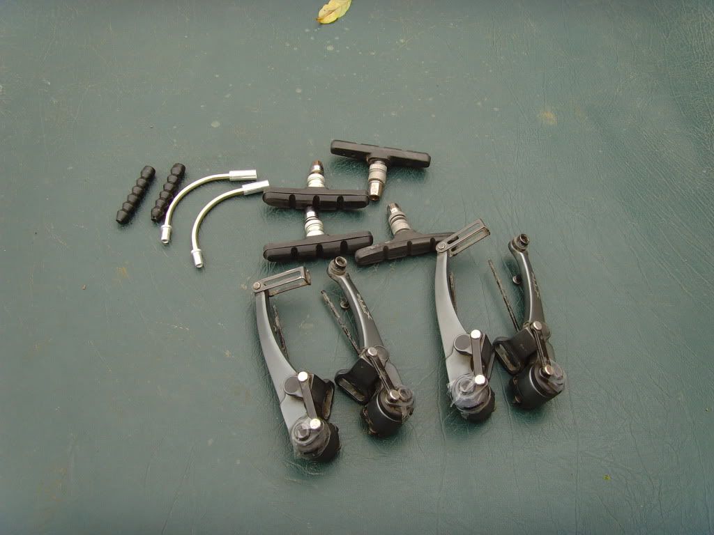 SNV34820.jpg
