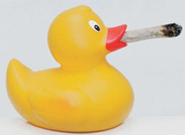 s-SMOKING-DUCK-large.jpg