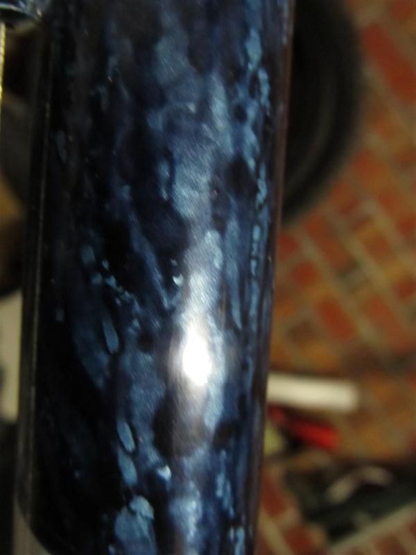 IMG_5324Medium.jpg