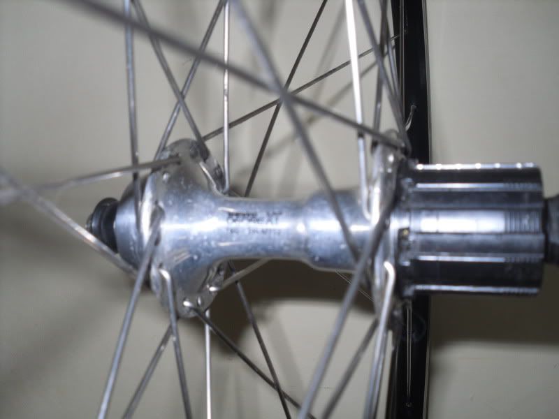 SDC14698.jpg