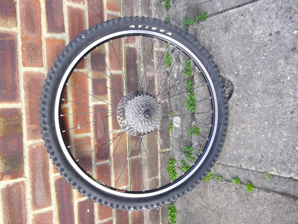 IMGP0720.jpg