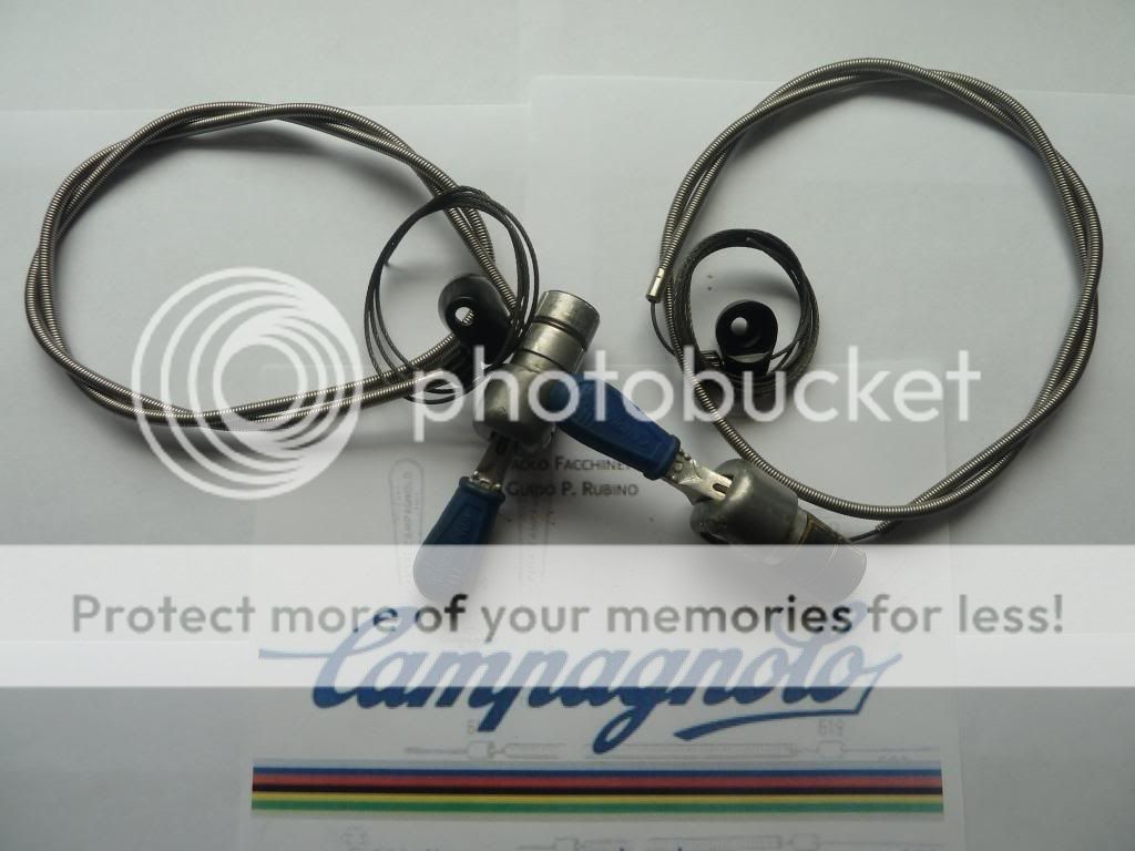 campy085.jpg