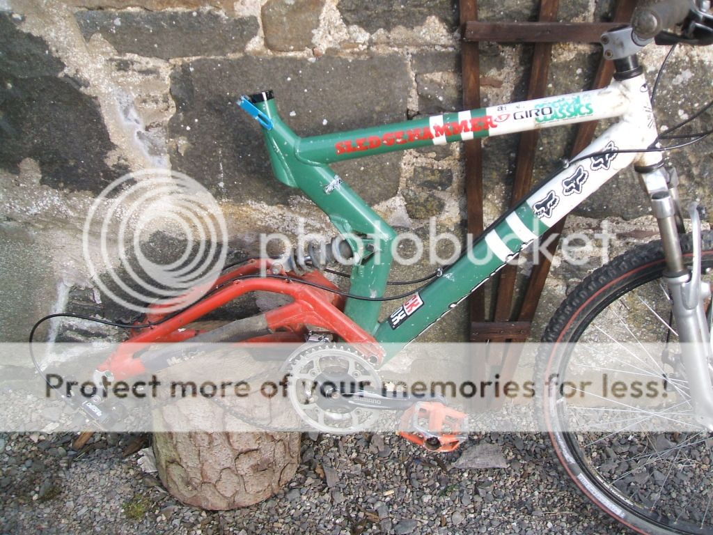 DSCF5478.jpg