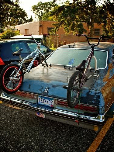pic-of-the-day-awesome-built-in-bik.jpg