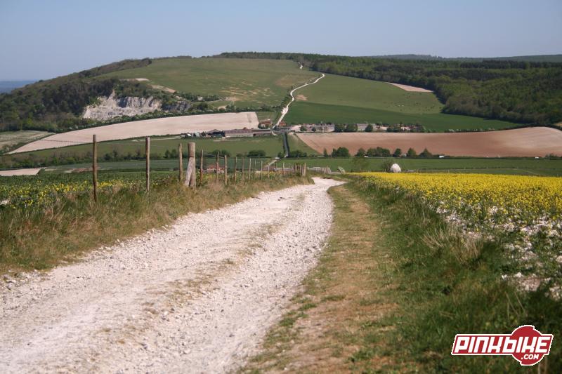 pbpic1301199.jpg