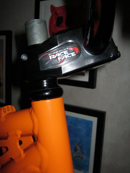 orangespookystem.jpg