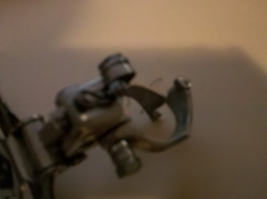 IMG_20101027_140400.jpg