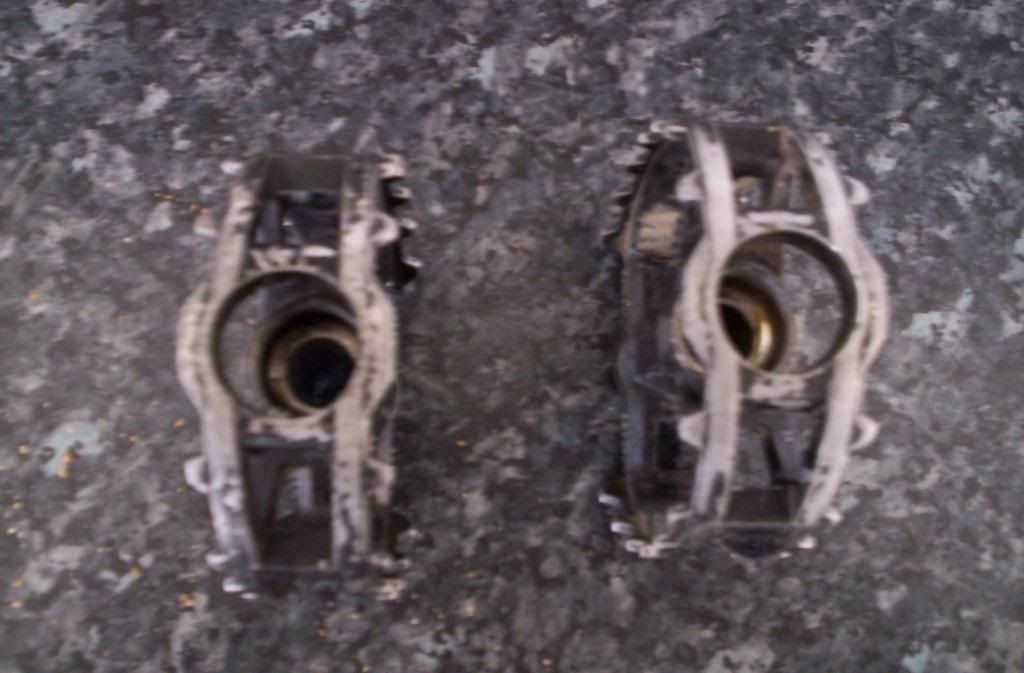 muddyfoxrestoration015.jpg