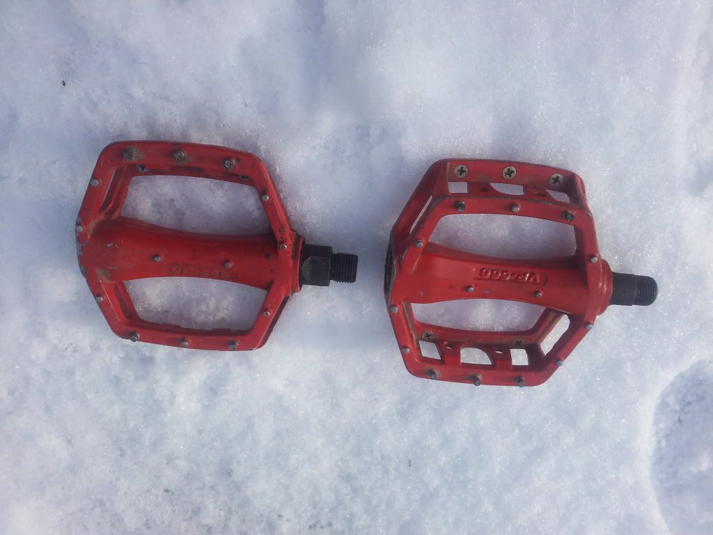20120211_114244.jpg