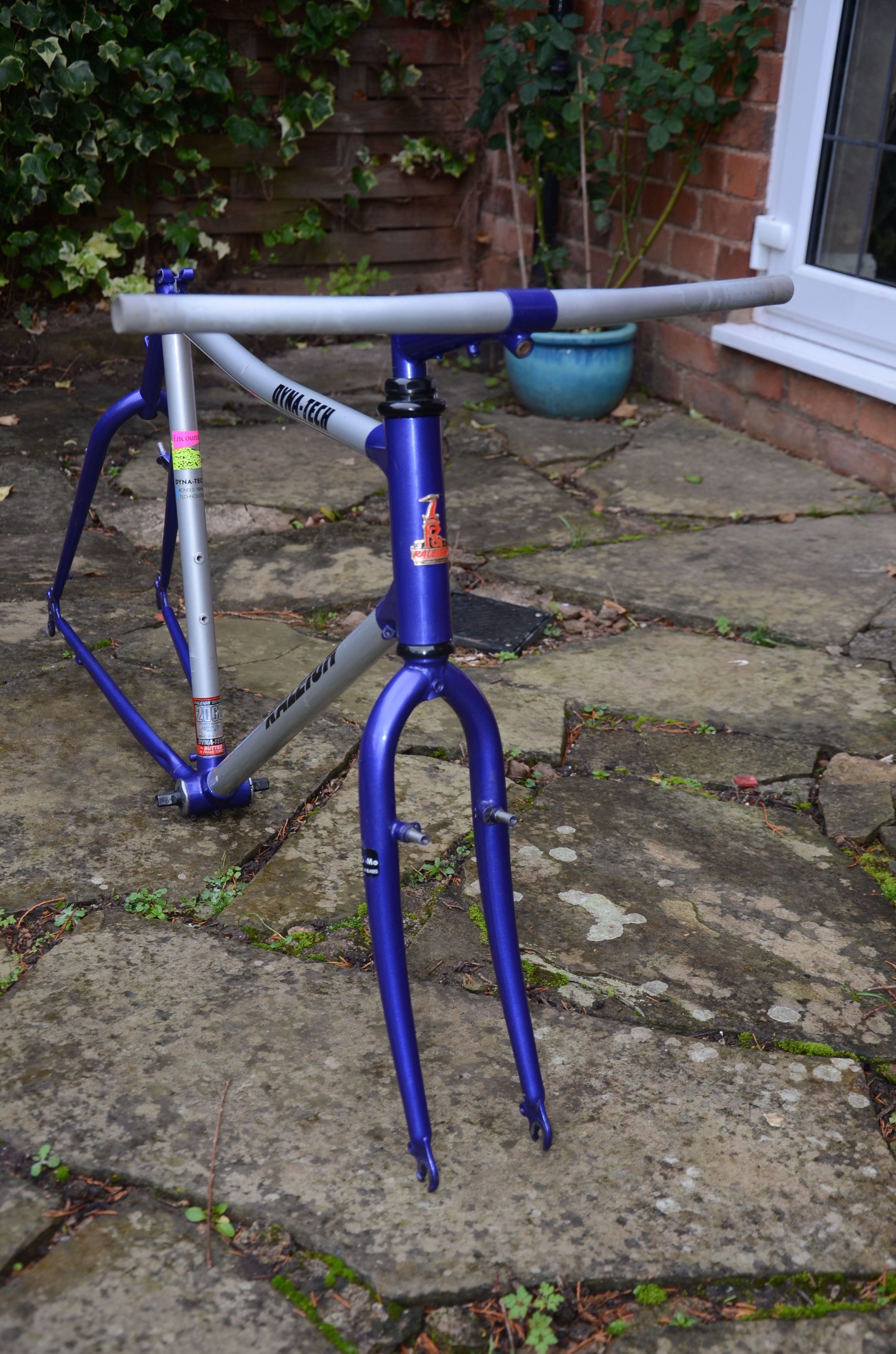 DSC_2935.jpg