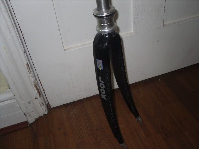 SDC14688.jpg