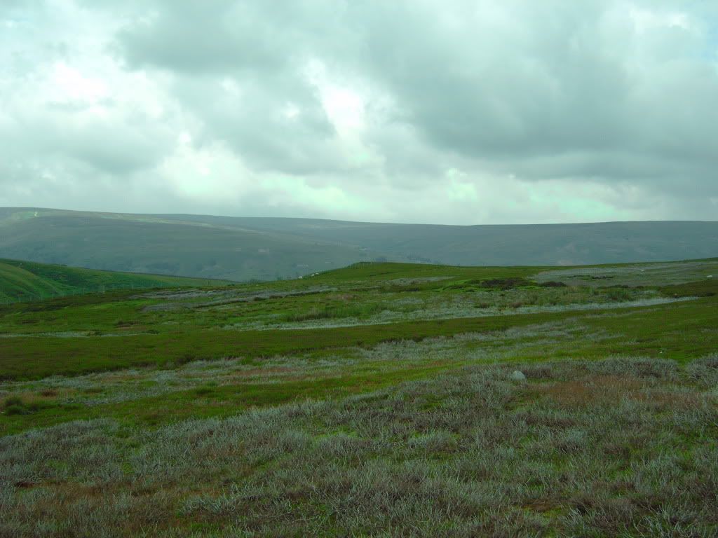 IMG00355.jpg