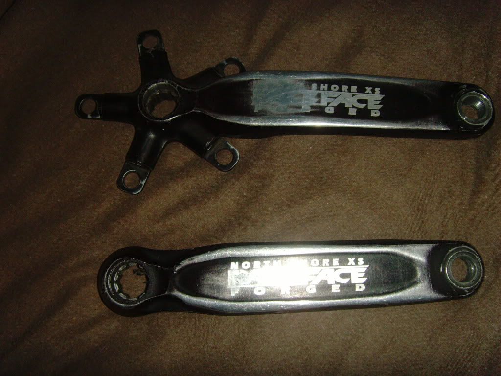 SNV34011.jpg