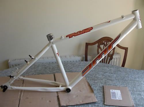 98white.jpg