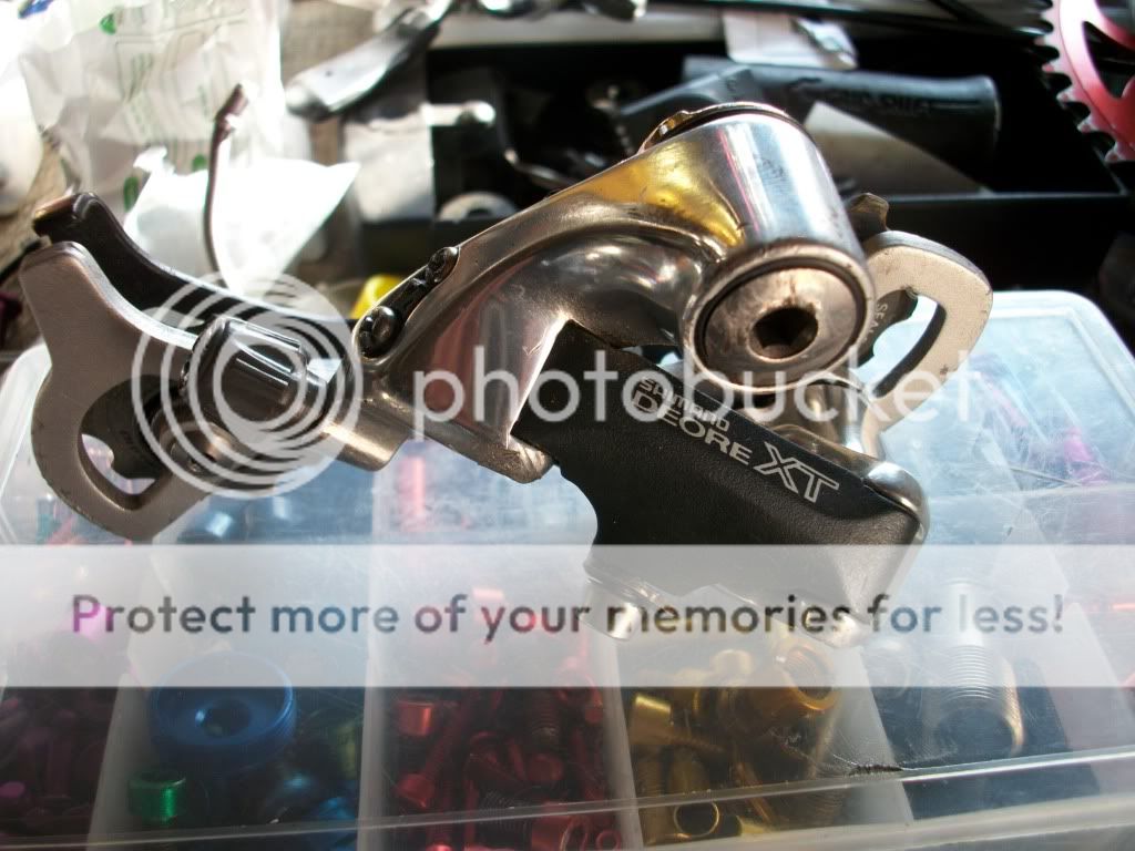 IMGP3966.jpg