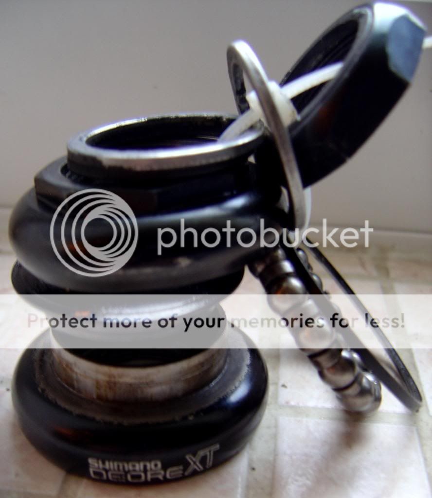 xt1inch.jpg