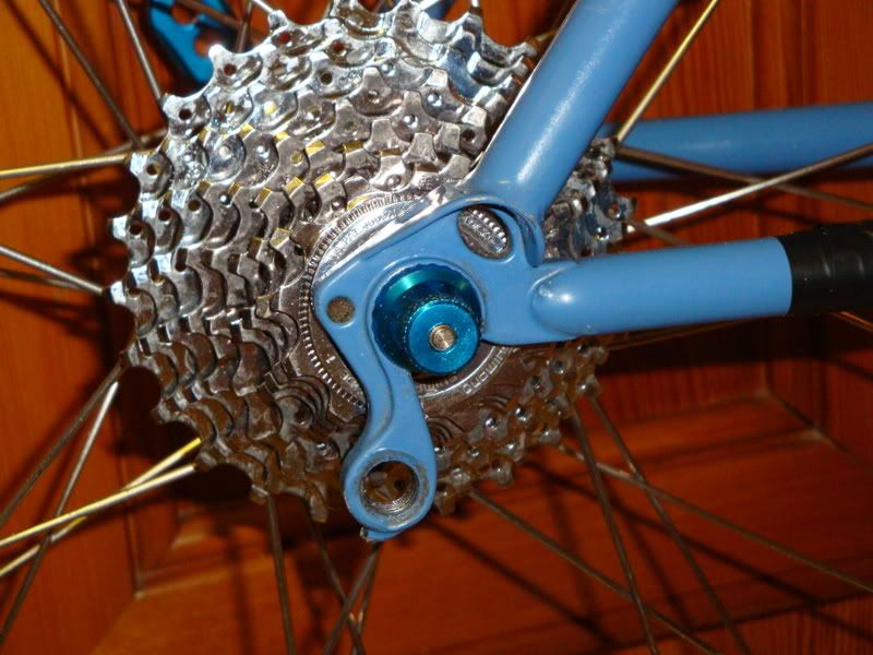 SunnXircuit002-1.jpg