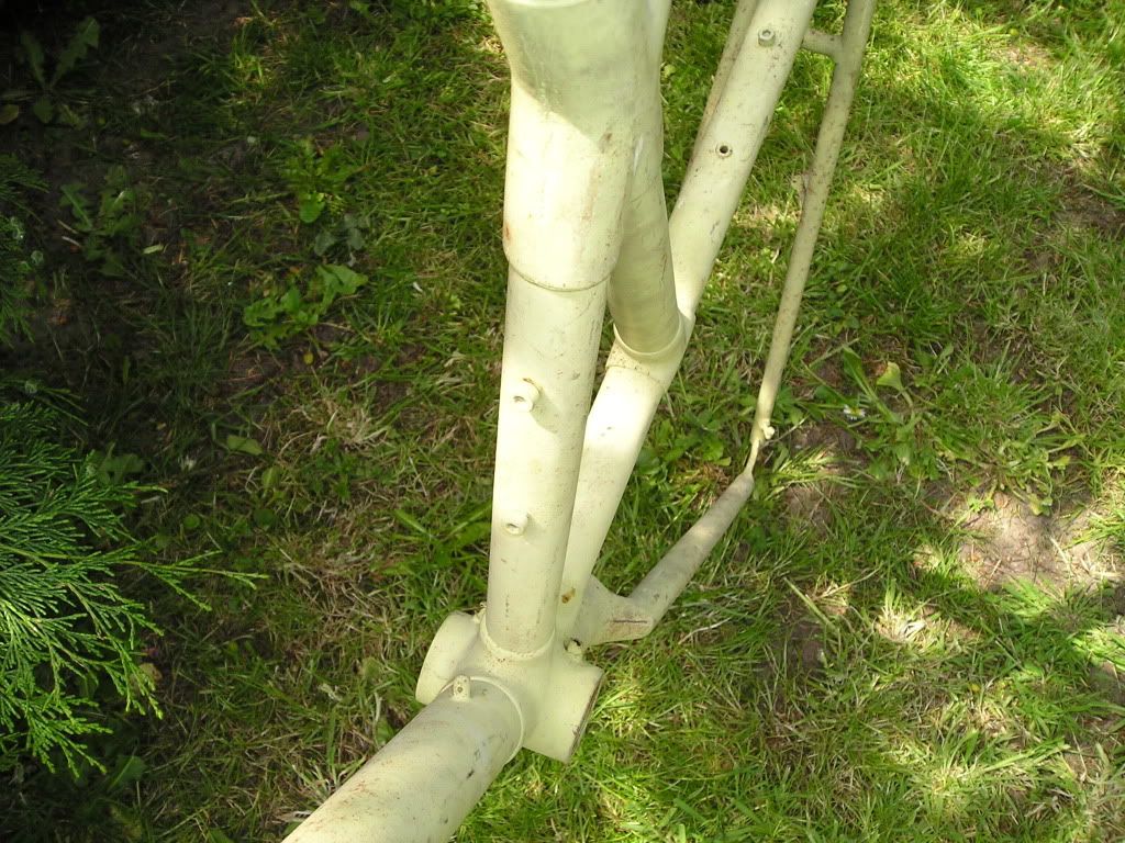 P1010010-1.jpg