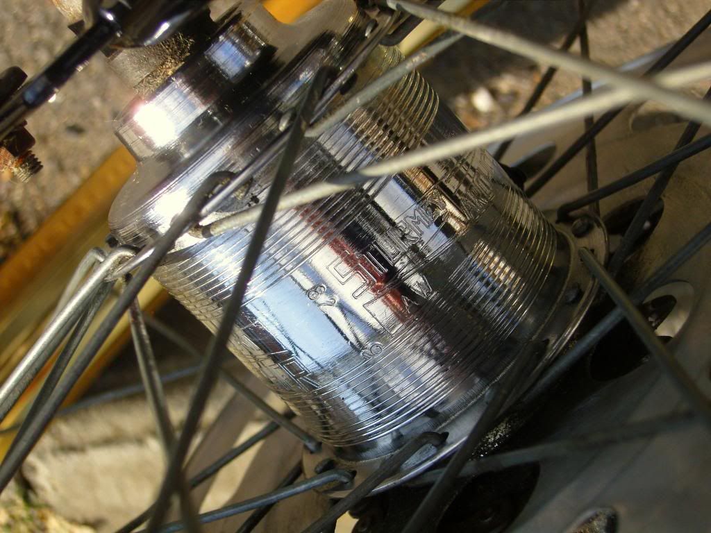 SNC13929.jpg